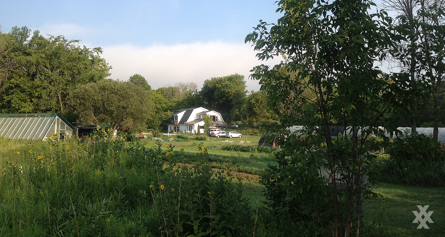 Wellspring Organic Farm Wisconsin