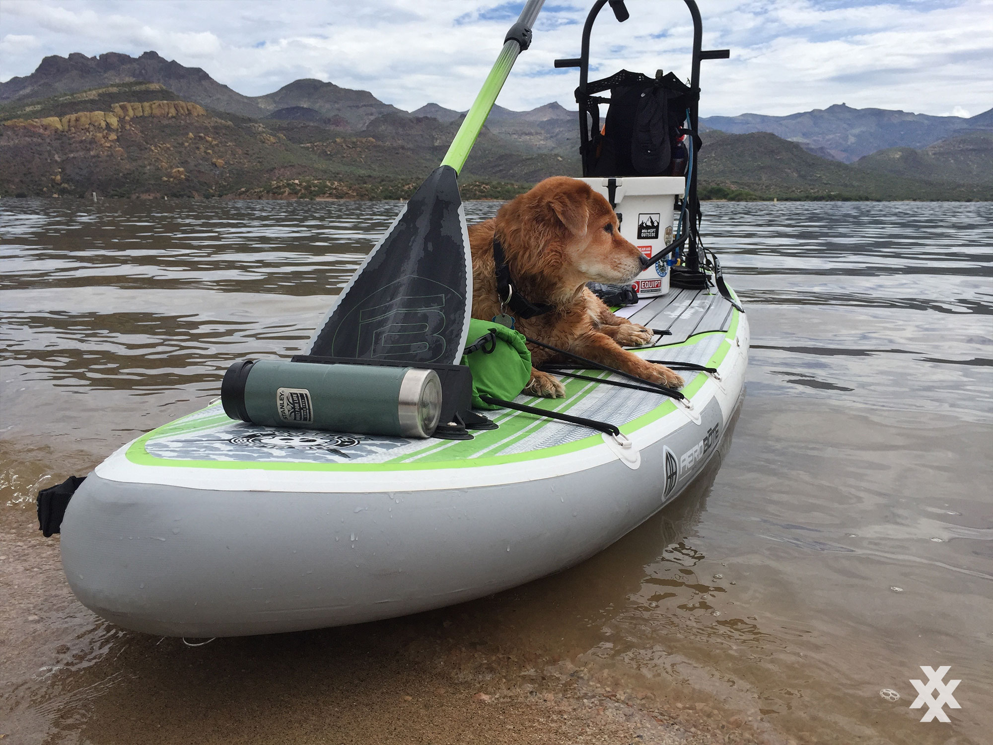 4XPEDITION SUP with your Pup