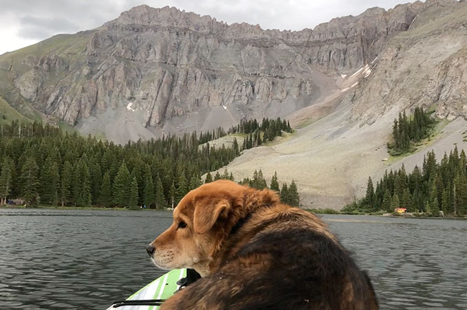 4XPEDITION SUP with your Pup