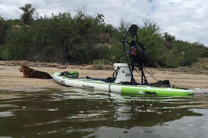 4XPEDITION SUP with your Pup
