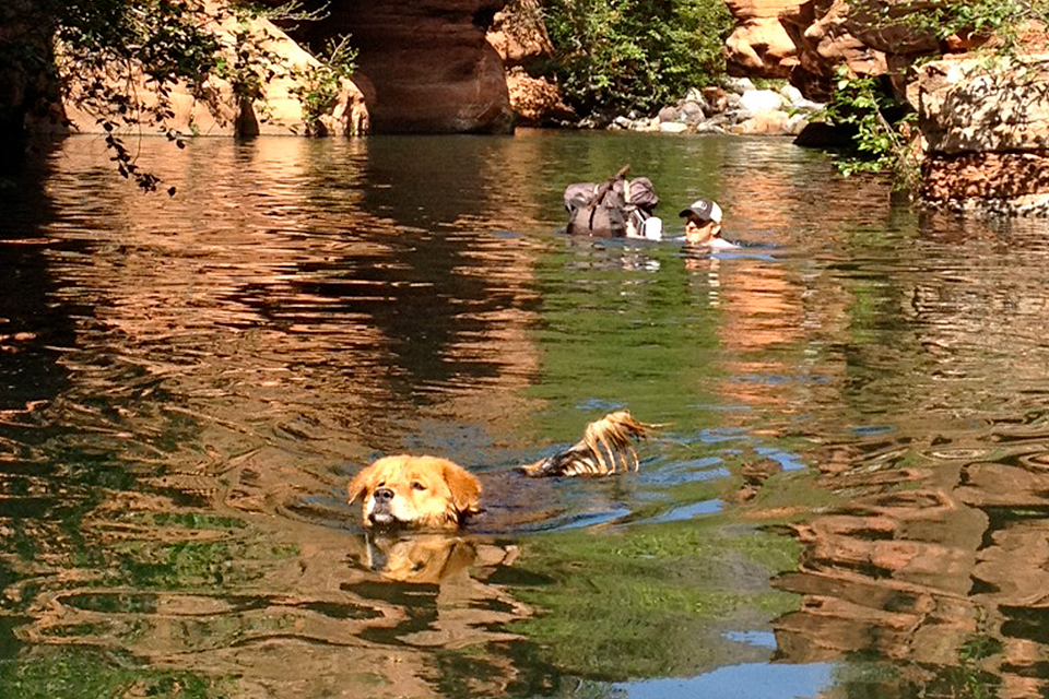 4xpedition backpacking scott leuthold west clear creek arizona